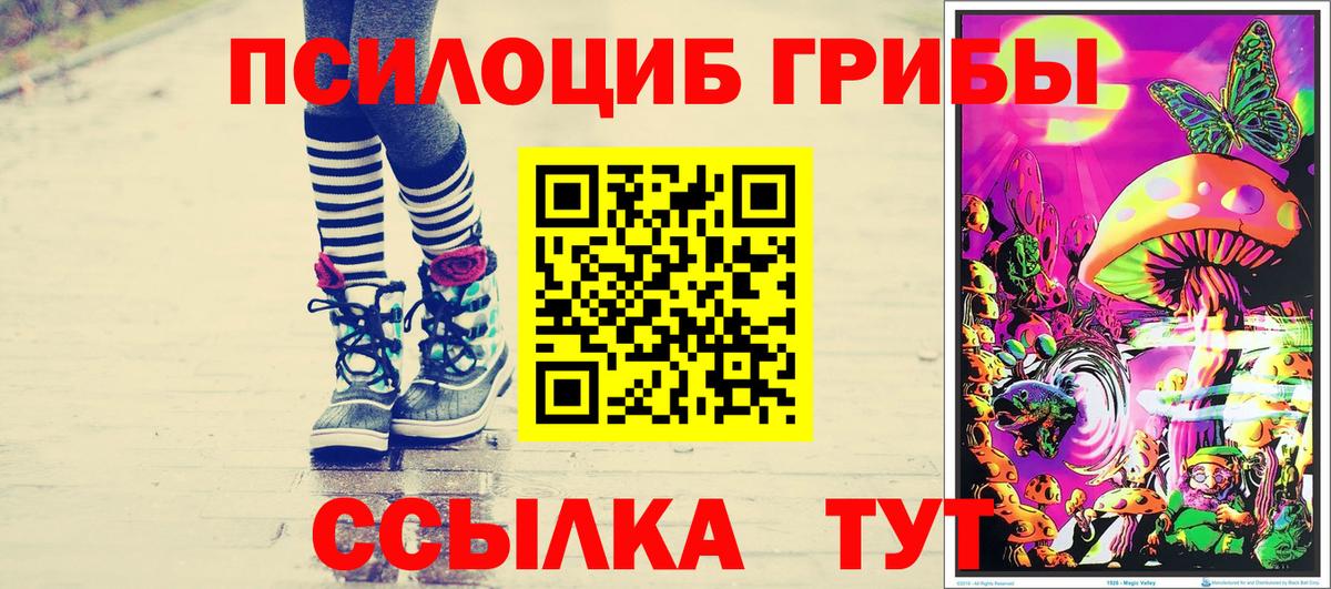 Псилоцибиновые грибы мицелий Обь