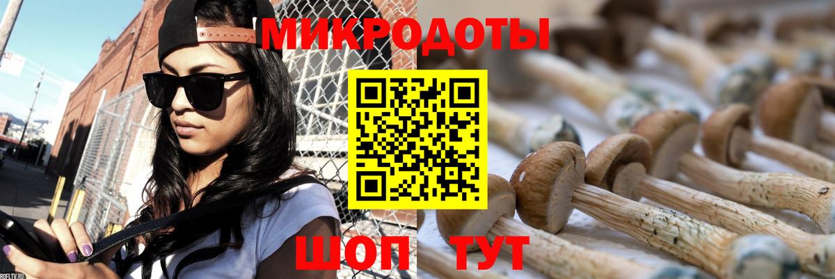 Обь  Галлюциногенные грибы мухоморы  Вход с VPN 