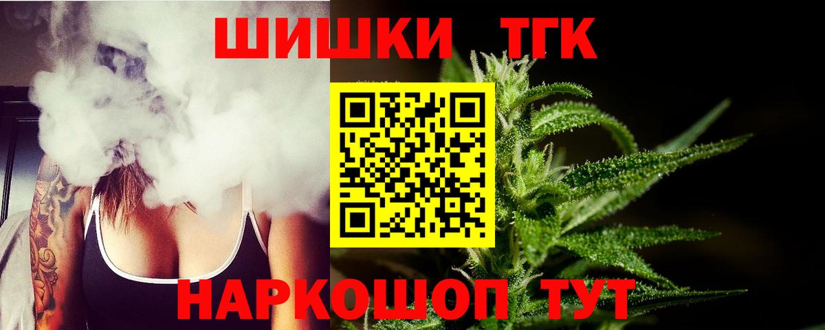 Конопля сатива Обь